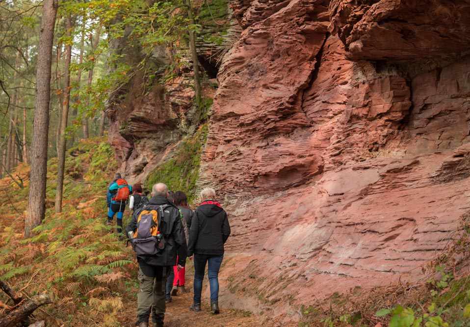 Napoleonsteig Dahner Felsenland